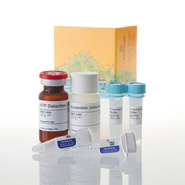 UDP-Glo Glycosyltransferase Assay