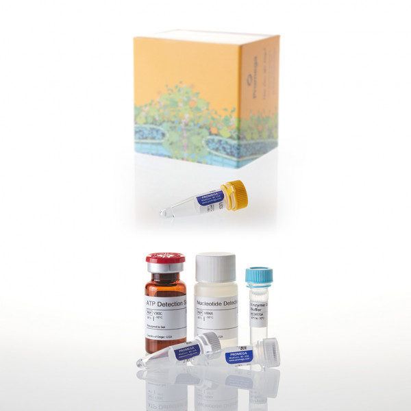 UDP-Glo Glycosyltransferase Assay + UDP-Galactose