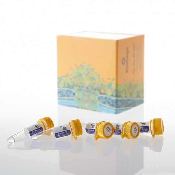 Ultra Pure UDP-Glucose, 100mM