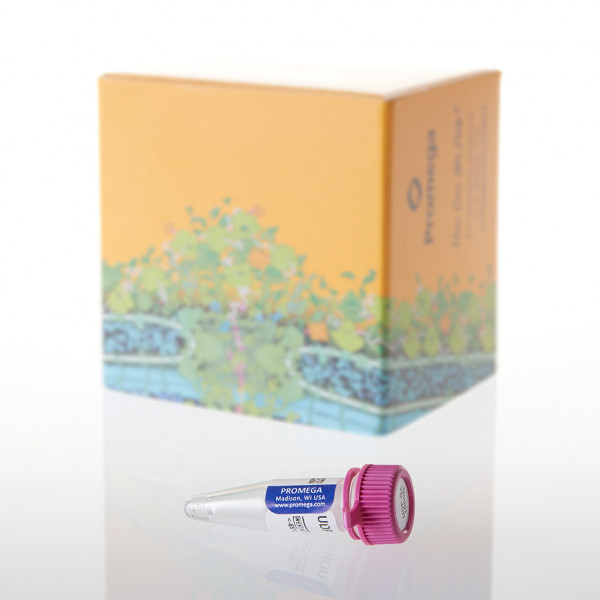 Ultra Pure UDP-Glucuronic Acid (UDP-GA), 100mM