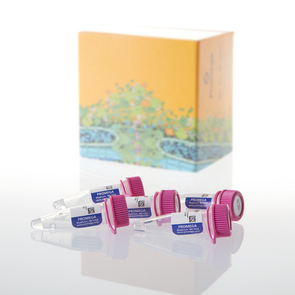 Ultra Pure UDP-Glucuronic Acid (UDP-GA), 100mM