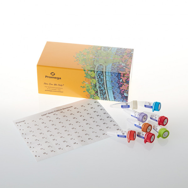 SignaTECT DNA-Dependent Protein Kinase Assay System