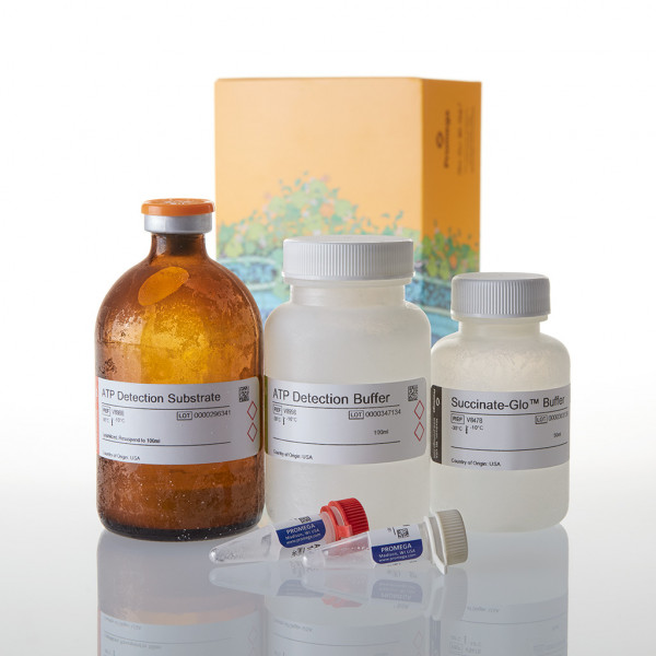 Succinate-Glo JmjC Demethylase/Hydroxylase Assay