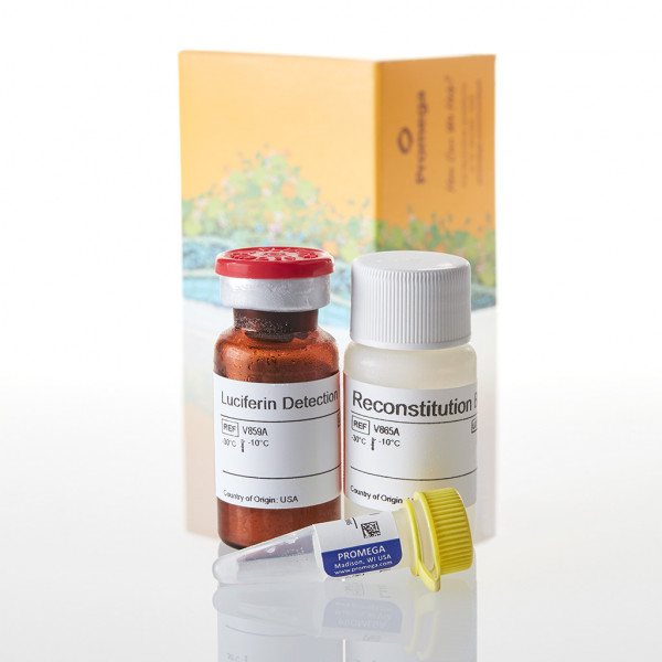 P450-Glo CYP2C9 Assay