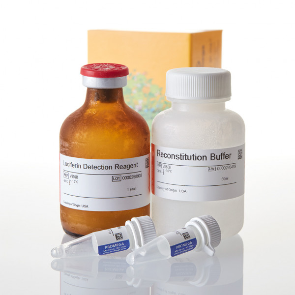 P450-Glo CYP3A7 Assay