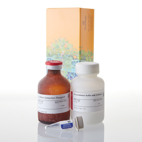 P450-Glo CYP2D6 Assay