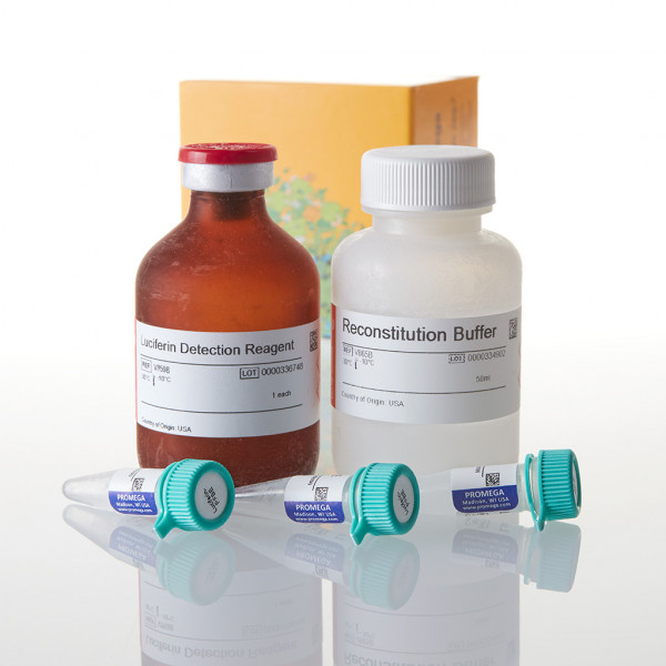 P450-Glo CYP3A4 Assay (Luciferin-PFBE) Cell-Based/Biochemical Assay