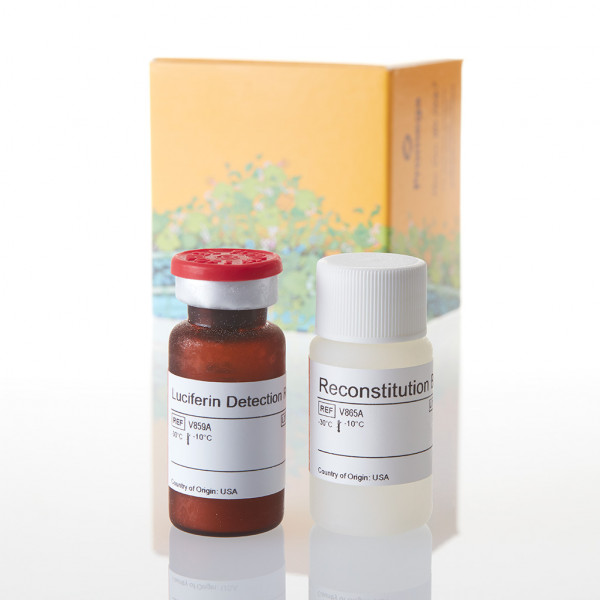 Luciferin Detection Reagent