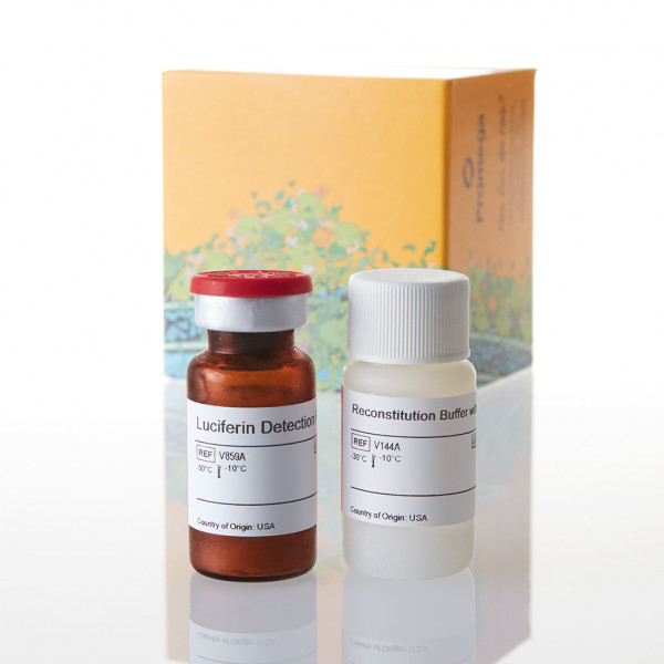 Luciferin Detection Reagent with esterase