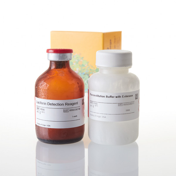Luciferin Detection Reagent with esterase