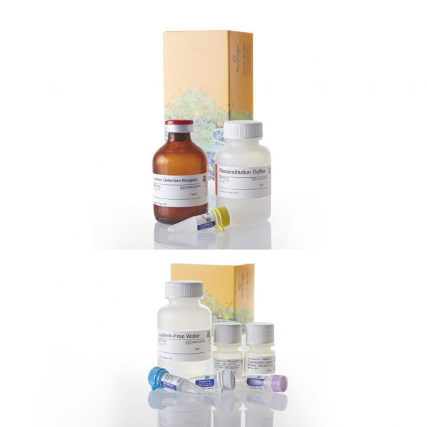 P450-Glo CYP2C9 Screening System