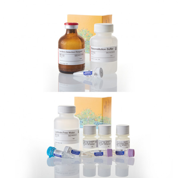 P450-Glo CYP3A4 Screening System