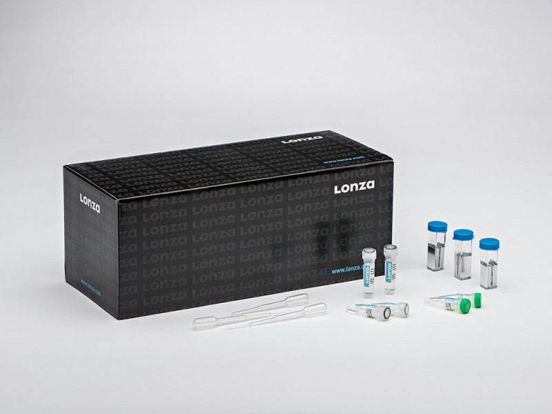 Cell Line Optimization Nucleofector® Kit
