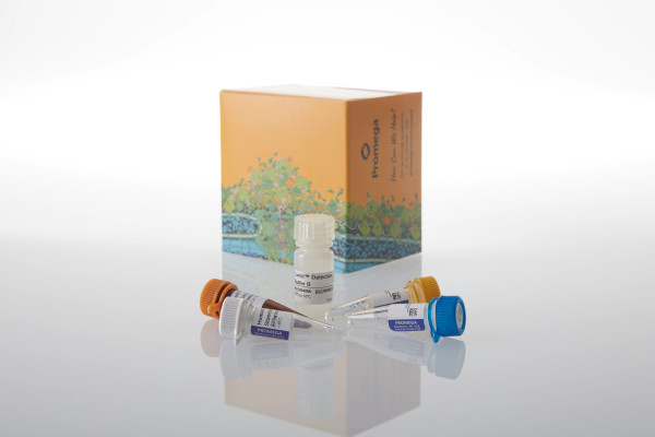 Lumit IL-17A (Human) Immunoassay