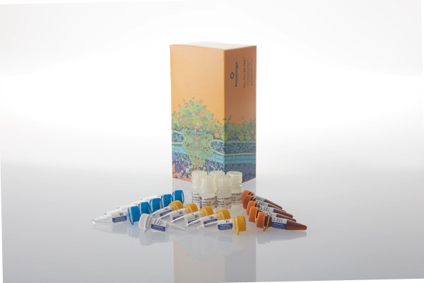 Lumit IL-17A (Human) Immunoassay