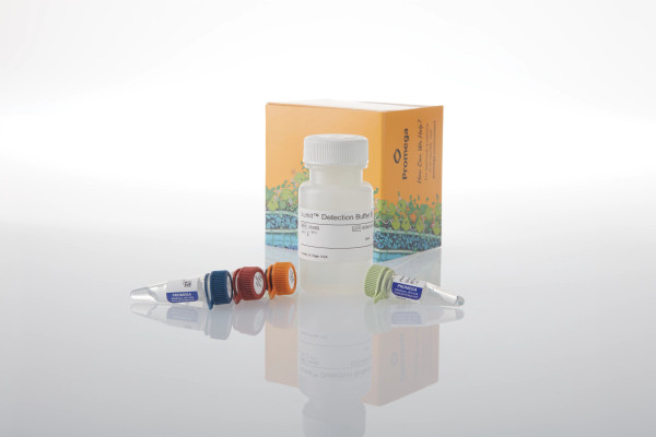 Lumit IFN-? (Human) Immunoassay