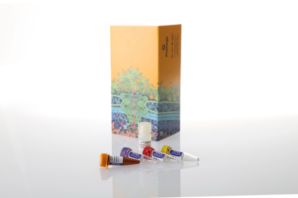 Lumit® IL-8/CXCL8 (Human) Immunoassay, 100 assays