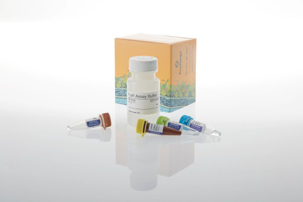 Lumit(R) FcgammaRIIIa (V158) Binding Immunoassay