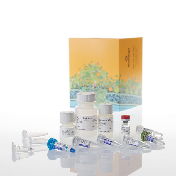 ReliaPrep FFPE Total RNA Miniprep System