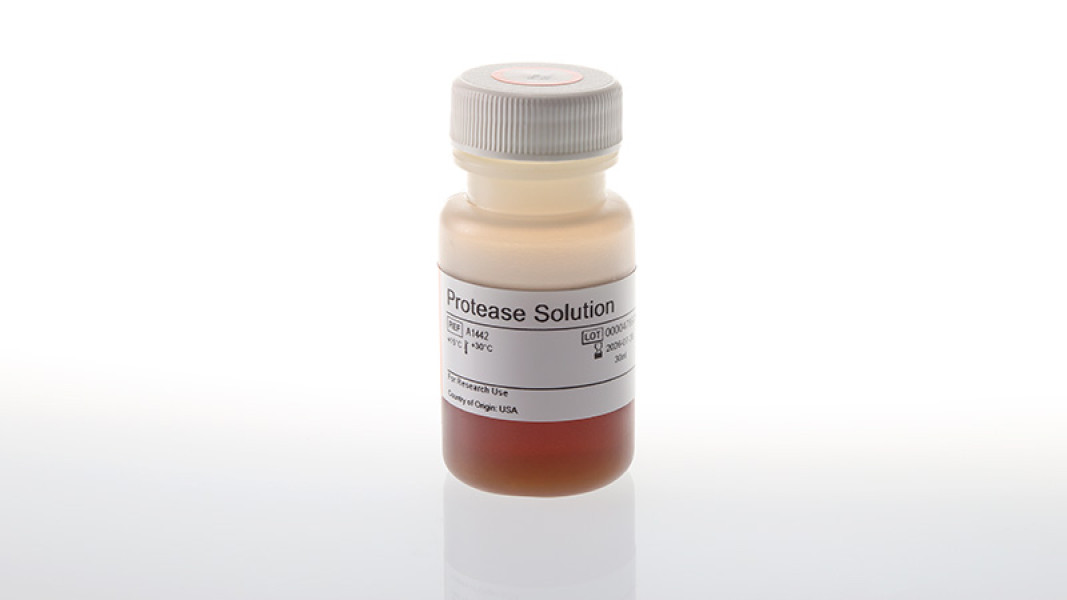 Protease Solution