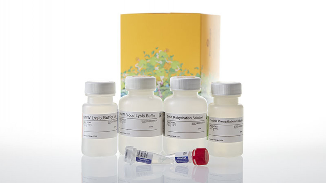Wizard(R) HMW DNA Extraction Kit