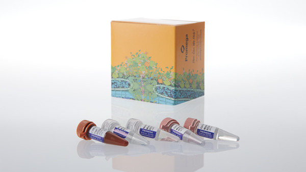 GoTaq Endure qPCR Master Mix