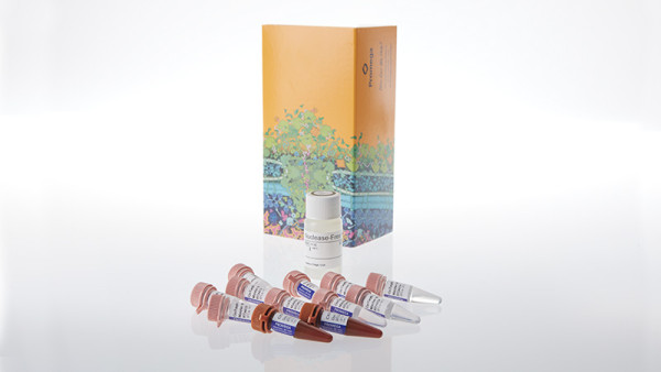 GoTaq Endure qPCR Master Mix