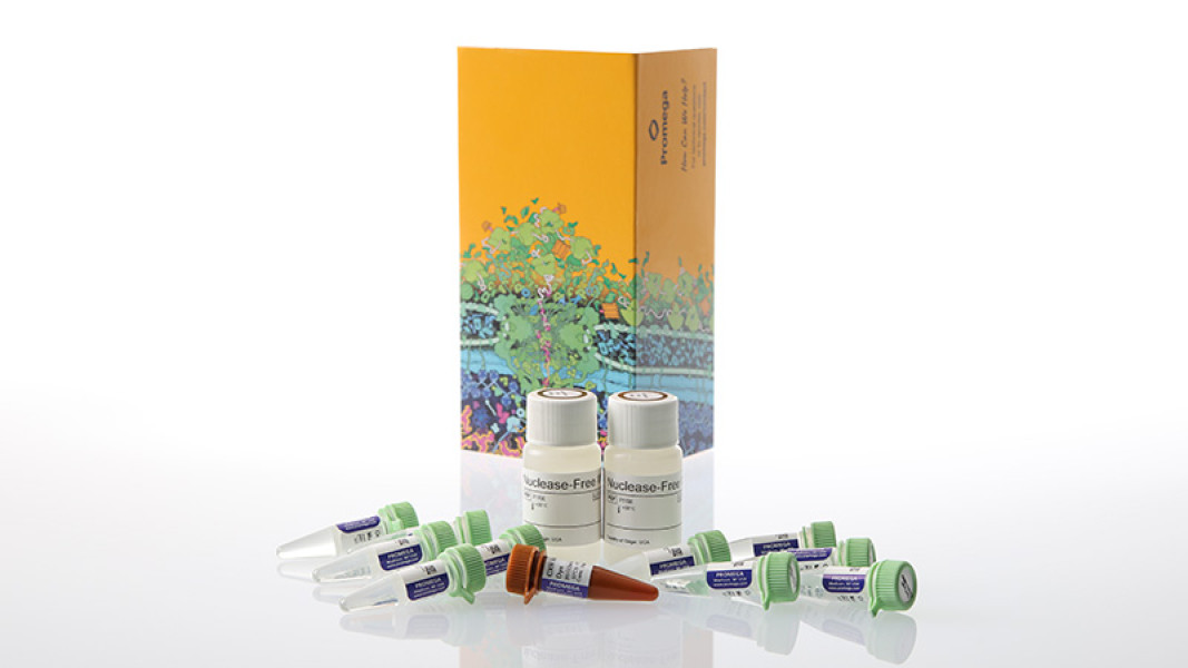 GoTaq Enviro qPCR System