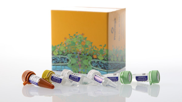 GoTaq Enviro RT-qPCR System