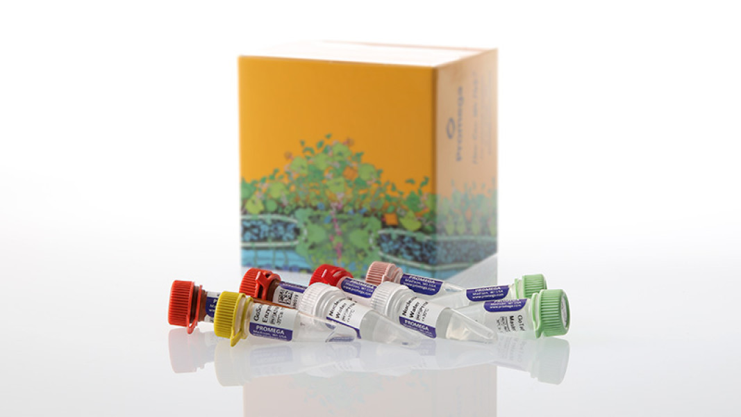 GoTaq Enviro Wastewater SARS-CoV-2 System, N2