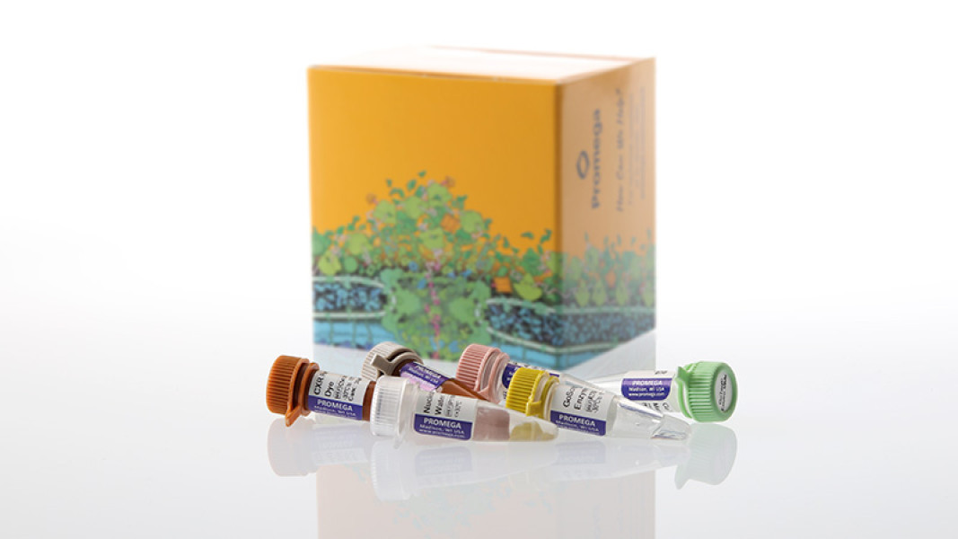 GoTaq Enviro PMMoV Quant Kit, Quasar 670