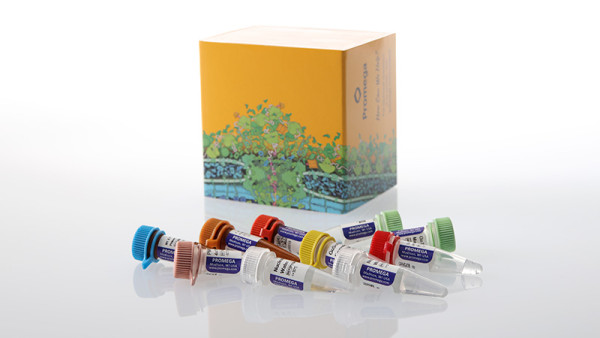 GoTaq® Enviro WW SARS-CoV2 E/N2 System