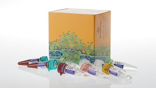 GoTaq® Enviro Wastewater Flu A, Flu B