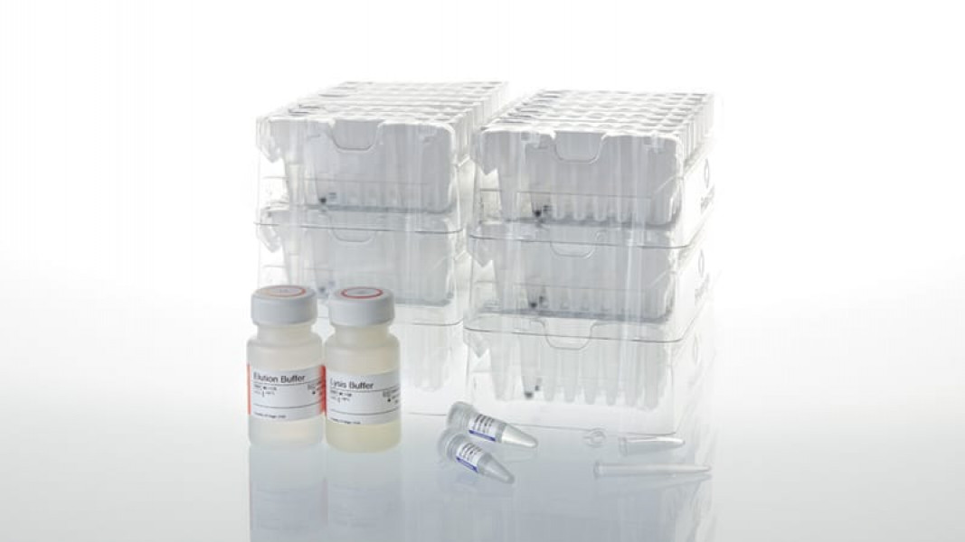 Maxwell CSC Blood DNA Kit