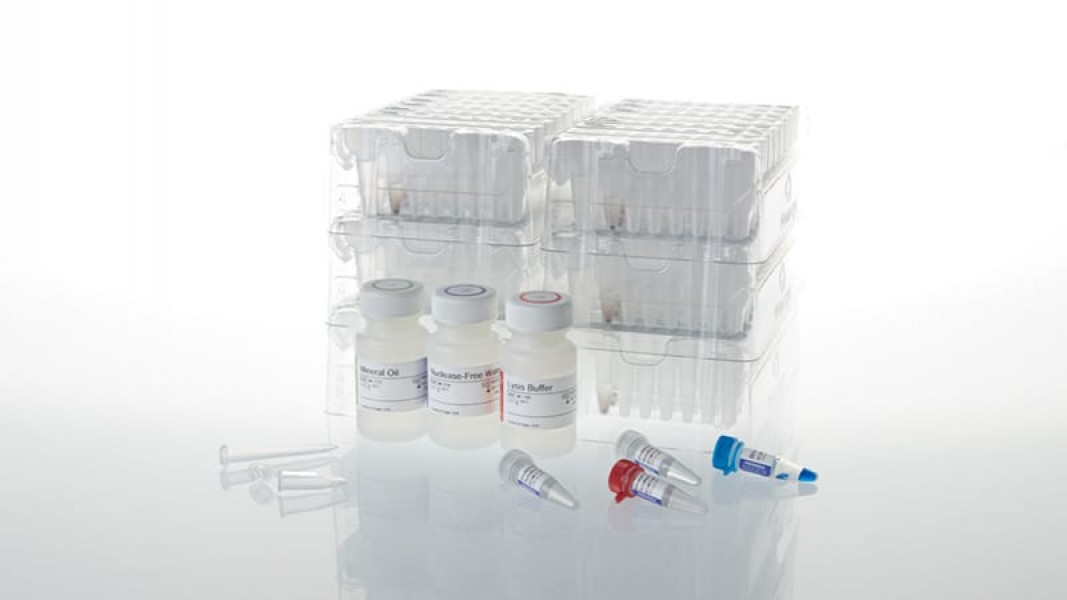 Maxwell CSC DNA FFPE Kit