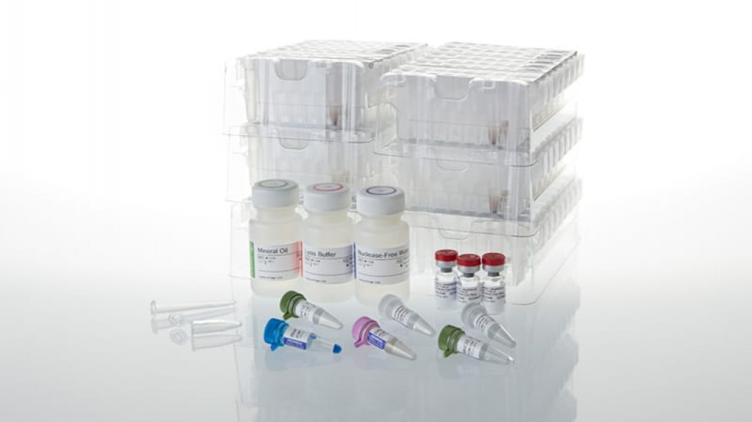 Maxwell CSC RNA FFPE Kit