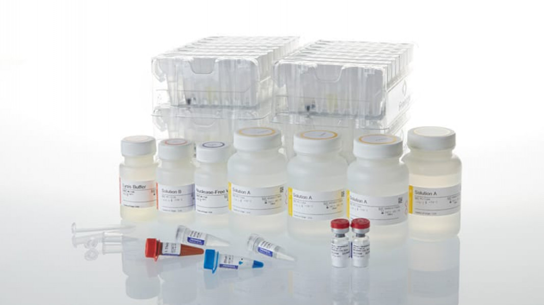 Maxwell CSC RNA Blood Kit