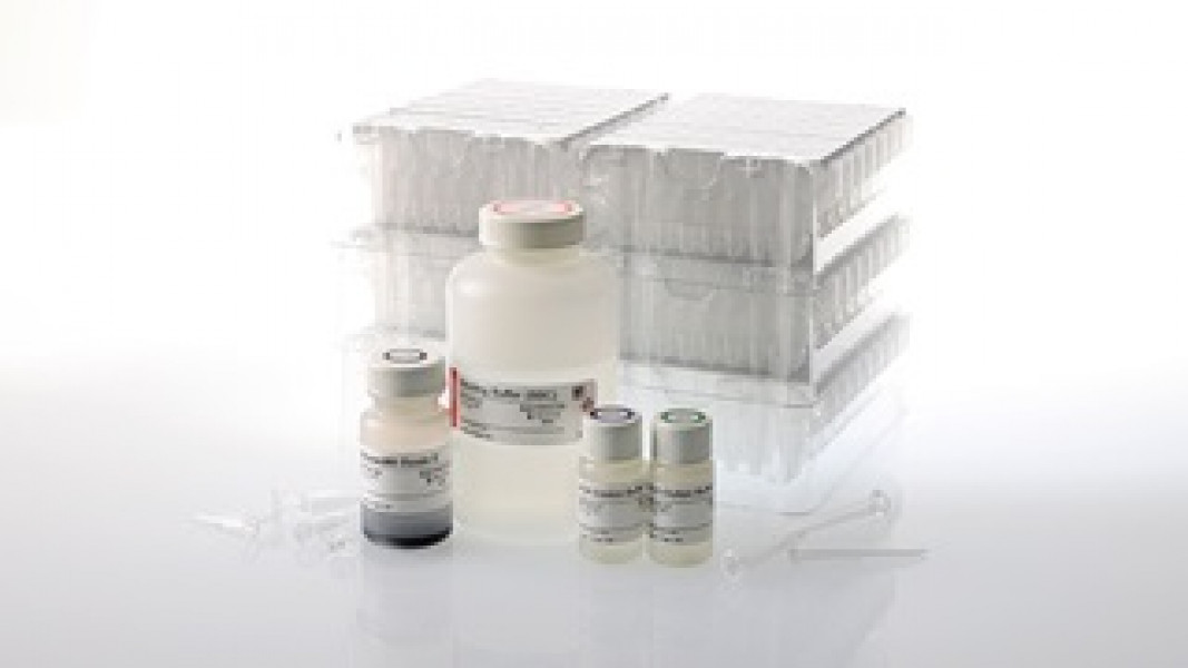 Maxwell® RSC ccfDNA LV Plasma Kit