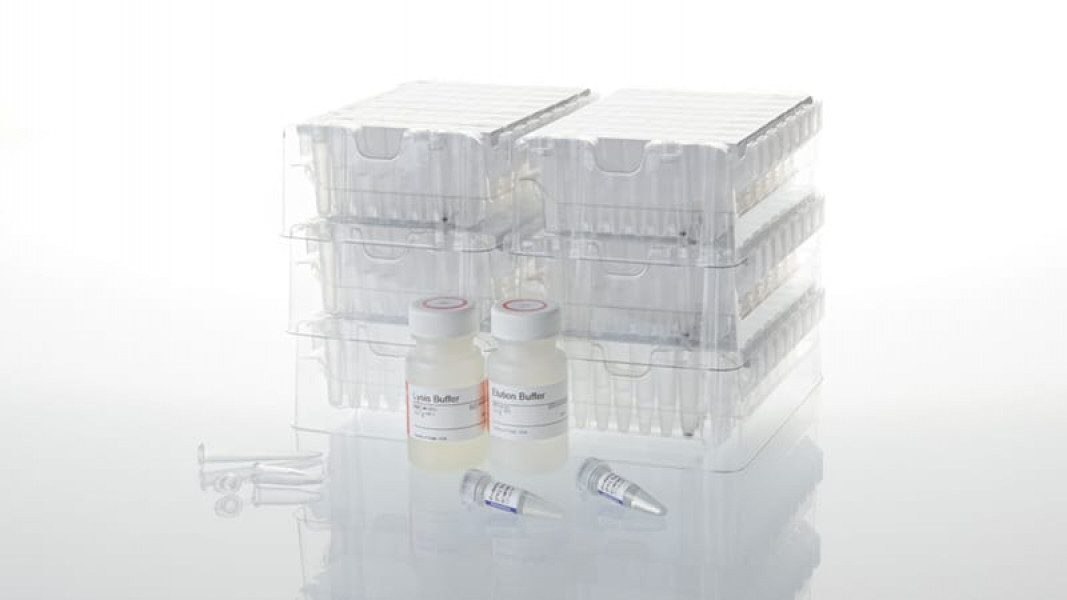Maxwell RSC Blood DNA Kit Multi-Pack