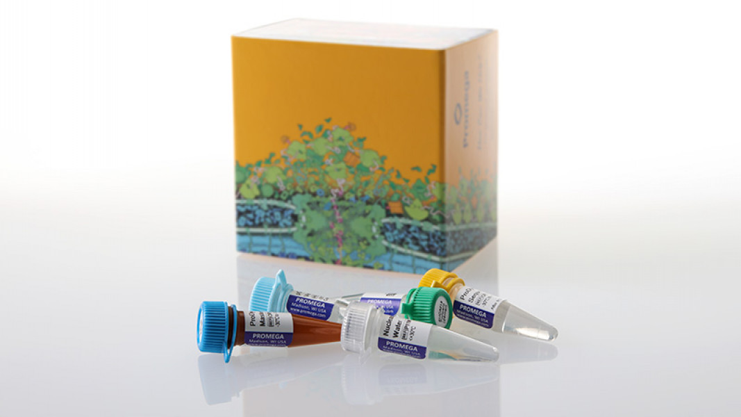 ProDyeTM Terminator Sequencing System