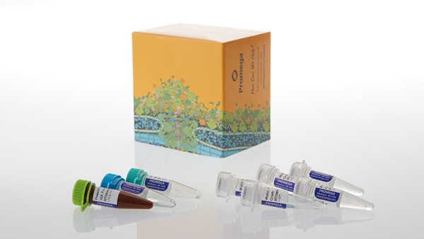 PowerPlex® 18E System 200rxn-400rxn