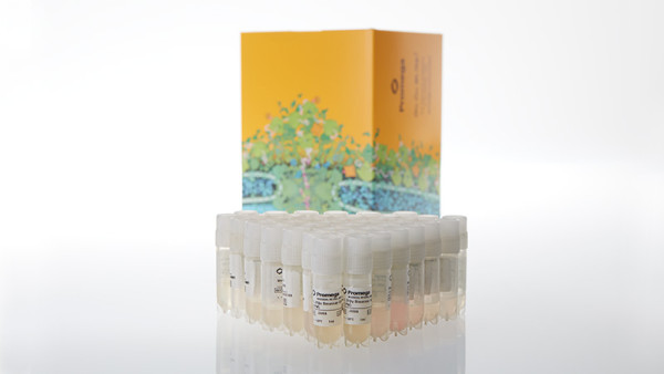 IL-2Rbetagamma Bioassay, Cell Bank