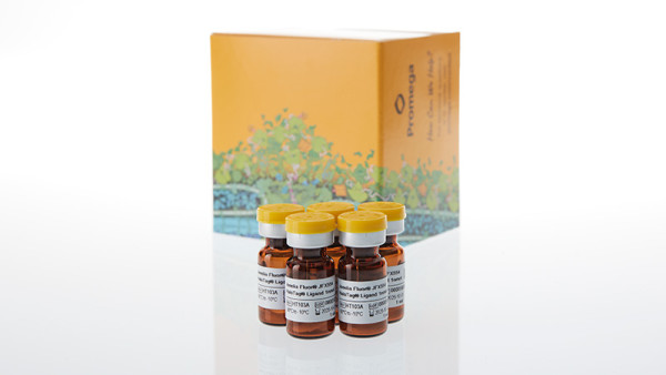 Janelia Fluor® JFX554 HaloTag® Ligand