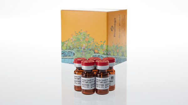 Janelia Fluor® 635 HaloTag® Ligand