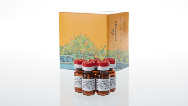 Janelia Fluor® 646 HaloTag® Ligand