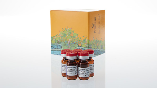 Janelia Fluor® JFX650 HaloTag® Ligand