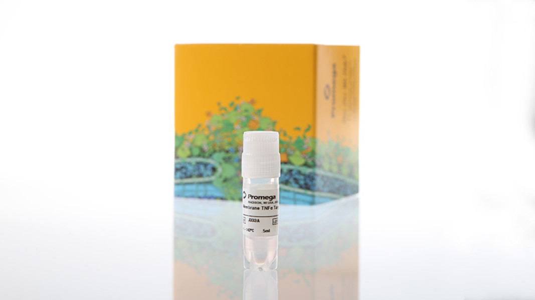 Membrane TNF-alpha Target Cells, Propagation Model