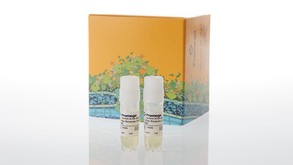 IL-2Rbetagamma Bioassay, Propagati Model