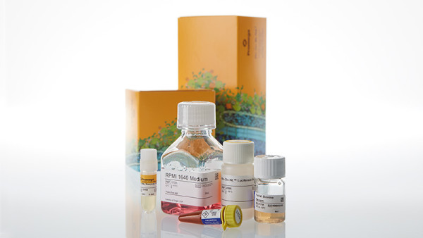 IL-2Rbetagamma Bioassay