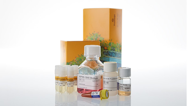 IL-2Rbetagamma Bioassay 5X